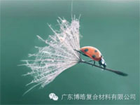 【博皓感悟】成功，要“借力”，不要“盡力”