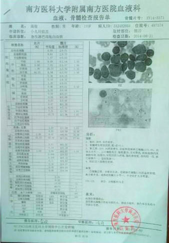 高俊的血液、骨髓檢查報(bào)告單